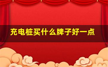 充电桩买什么牌子好一点