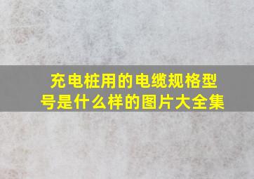 充电桩用的电缆规格型号是什么样的图片大全集