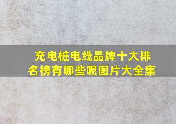 充电桩电线品牌十大排名榜有哪些呢图片大全集