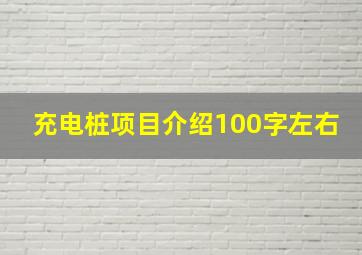 充电桩项目介绍100字左右