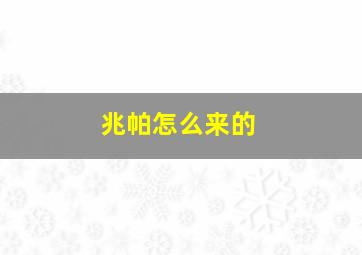 兆帕怎么来的