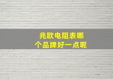 兆欧电阻表哪个品牌好一点呢