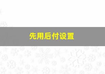 先用后付设置