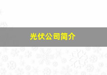 光伏公司简介