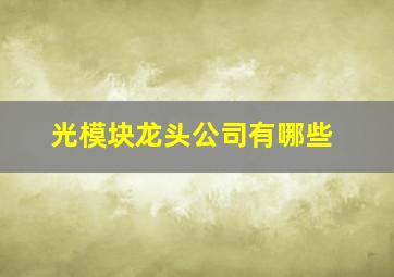 光模块龙头公司有哪些