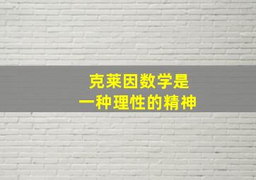 克莱因数学是一种理性的精神