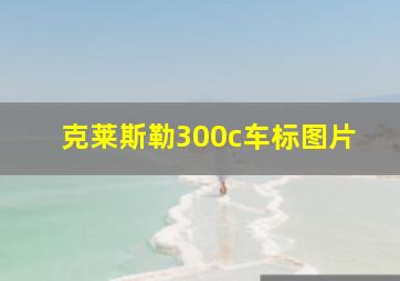 克莱斯勒300c车标图片