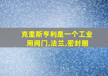 克里斯亨利是一个工业用阀门,法兰,密封圈