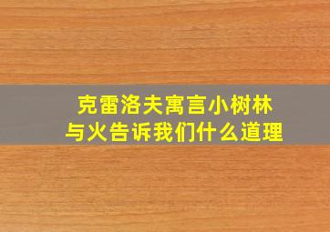 克雷洛夫寓言小树林与火告诉我们什么道理