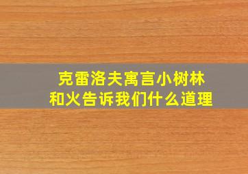 克雷洛夫寓言小树林和火告诉我们什么道理