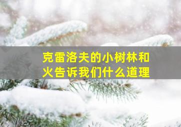 克雷洛夫的小树林和火告诉我们什么道理