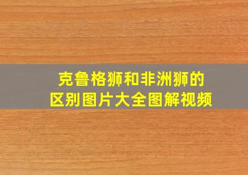 克鲁格狮和非洲狮的区别图片大全图解视频