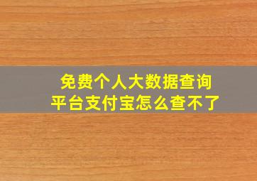 免费个人大数据查询平台支付宝怎么查不了