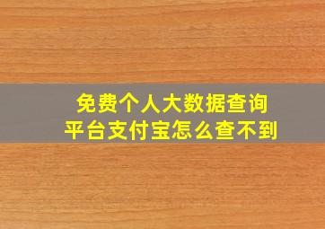 免费个人大数据查询平台支付宝怎么查不到