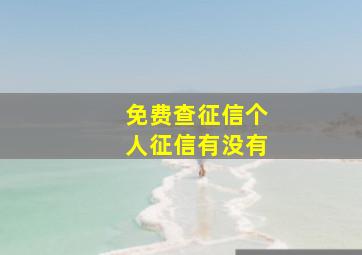 免费查征信个人征信有没有