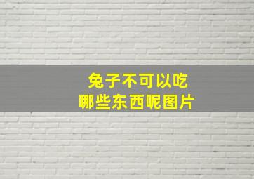 兔子不可以吃哪些东西呢图片