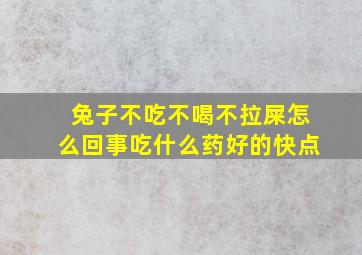 兔子不吃不喝不拉屎怎么回事吃什么药好的快点