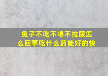 兔子不吃不喝不拉屎怎么回事吃什么药能好的快