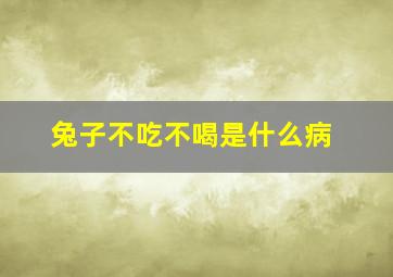 兔子不吃不喝是什么病