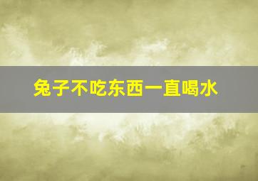 兔子不吃东西一直喝水