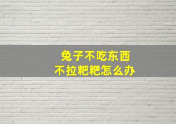 兔子不吃东西不拉粑粑怎么办