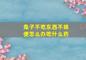 兔子不吃东西不排便怎么办吃什么药