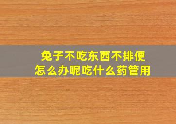 兔子不吃东西不排便怎么办呢吃什么药管用