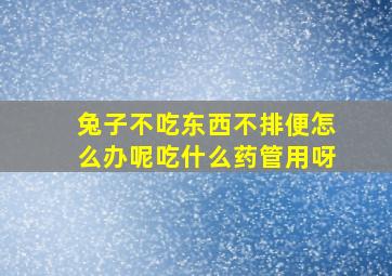 兔子不吃东西不排便怎么办呢吃什么药管用呀