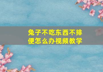 兔子不吃东西不排便怎么办视频教学