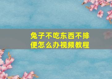 兔子不吃东西不排便怎么办视频教程