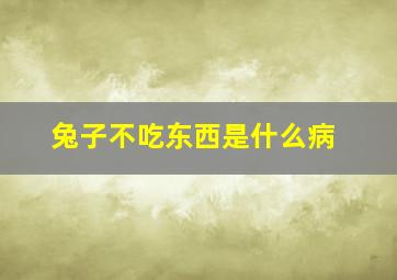 兔子不吃东西是什么病