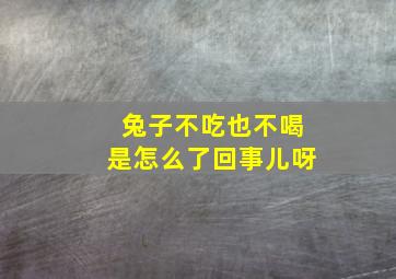 兔子不吃也不喝是怎么了回事儿呀