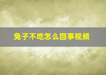 兔子不吃怎么回事视频