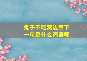 兔子不吃窝边草下一句是什么词语呢