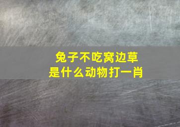 兔子不吃窝边草是什么动物打一肖