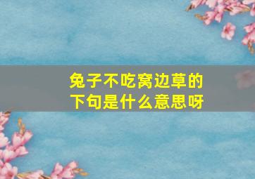 兔子不吃窝边草的下句是什么意思呀