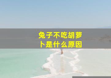 兔子不吃胡萝卜是什么原因