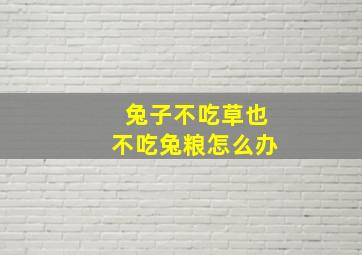 兔子不吃草也不吃兔粮怎么办