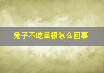 兔子不吃草根怎么回事