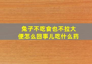 兔子不吃食也不拉大便怎么回事儿吃什么药