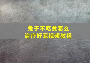 兔子不吃食怎么治疗好呢视频教程