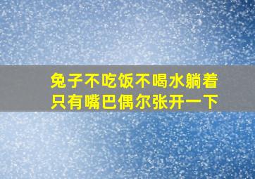 兔子不吃饭不喝水躺着只有嘴巴偶尔张开一下