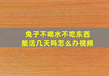 兔子不喝水不吃东西能活几天吗怎么办视频