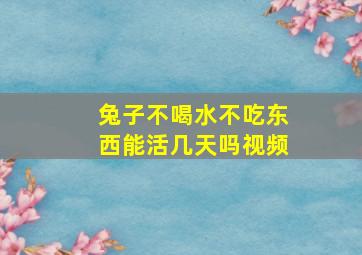 兔子不喝水不吃东西能活几天吗视频