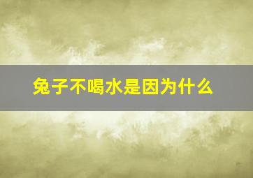 兔子不喝水是因为什么