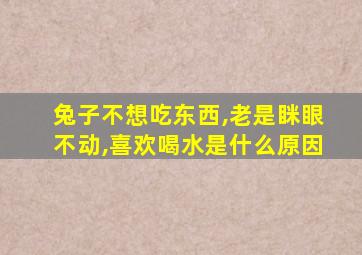 兔子不想吃东西,老是眯眼不动,喜欢喝水是什么原因