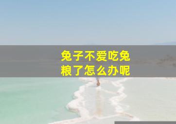 兔子不爱吃兔粮了怎么办呢