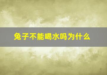 兔子不能喝水吗为什么