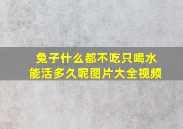 兔子什么都不吃只喝水能活多久呢图片大全视频