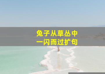 兔子从草丛中一闪而过扩句